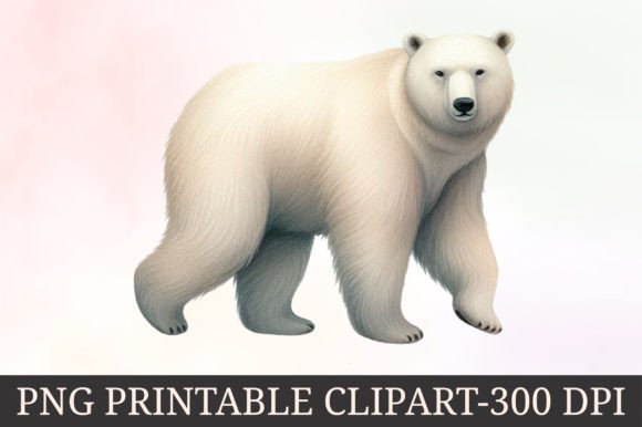 Download Winter Arctic Animals Clipart - Animals clipart Collection