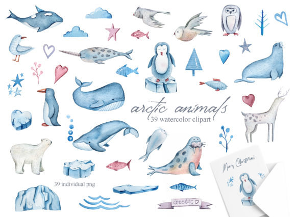 Download Watercolor Arctic Animals Clipart - Animals clipart Collection