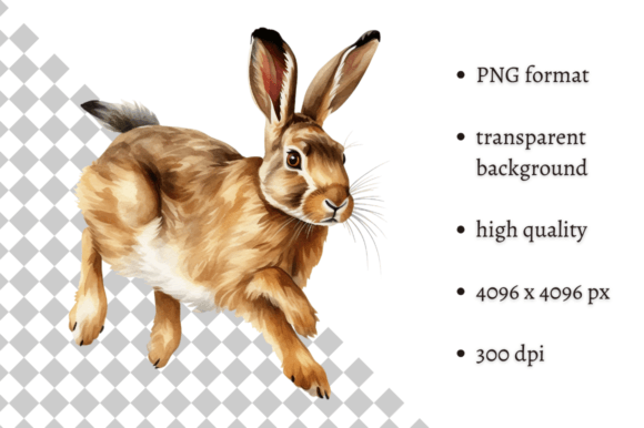 Download Watercolor Woodland Hare PNG Clipart - Premium Resources
