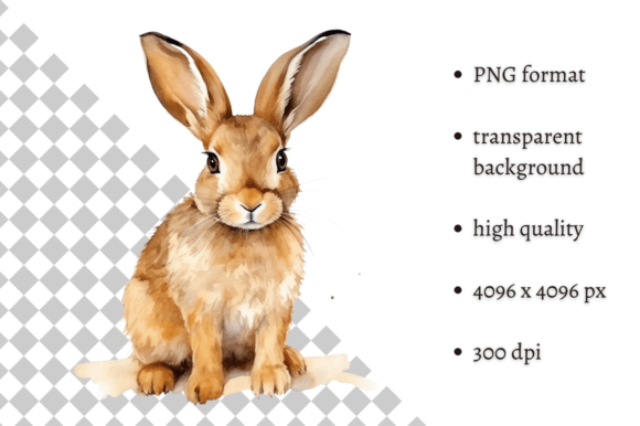 Download Watercolor Woodland Hare PNG Clipart - Premium Resources