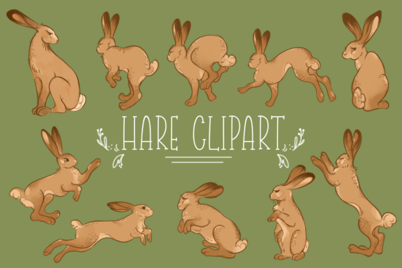 Download Hare Clipart Free - Hare Collection