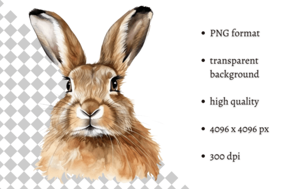 Download Watercolor Woodland Hare PNG Clipart - Premium Resources