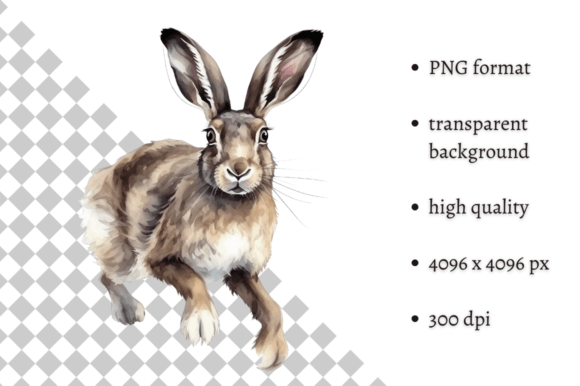 Download Watercolor Woodland Hare PNG Clipart - Premium Resources