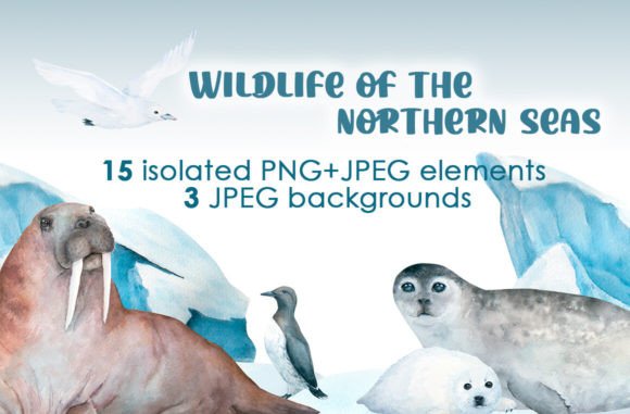 Download Watercolor Arctic Animals Clipart - Animals clipart Collection
