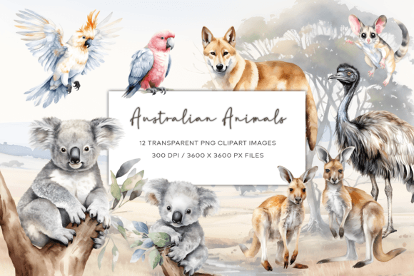Download Australian Watercolor Animals Clipart - Animals clipart Collection