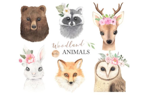 Download Watercolor Woodland Animals Clipart - Animals clipart Collection