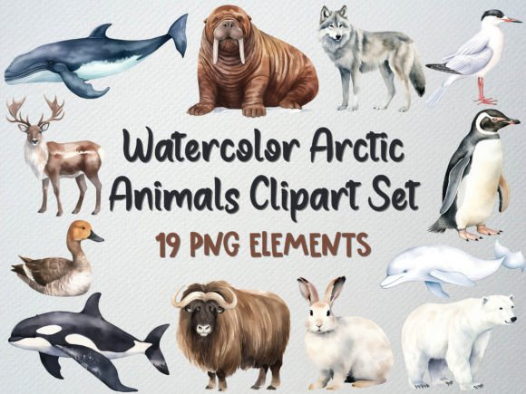Download Watercolor Arctic Animals Clipart Set - Animals clipart Collection