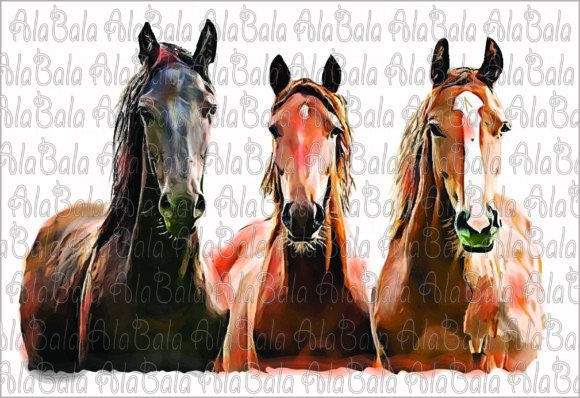 Download Horses Png, Sublimation Graphics,clipart - Sublimation graphics Collection